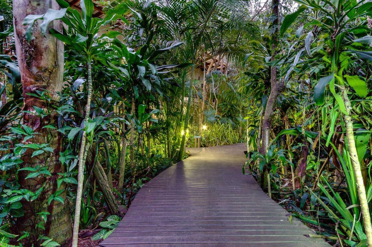 Forest Lodge Saint Lucia Estuary Exterior foto